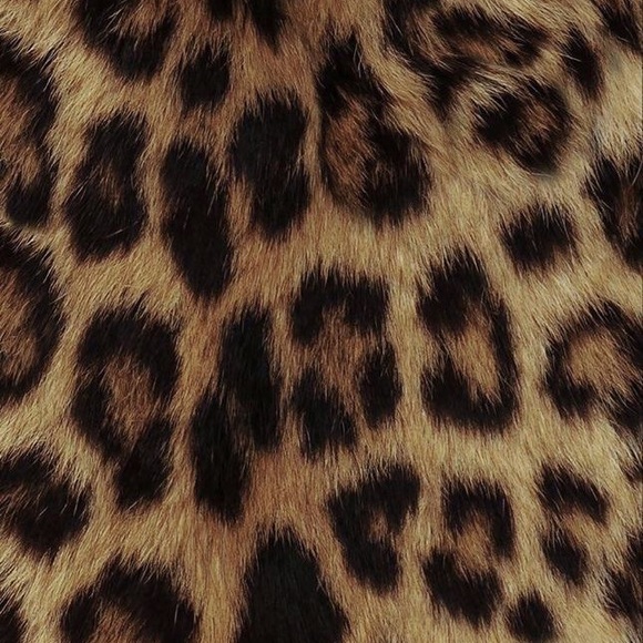 Meet your Posher, Savanna - Picture 1 of 1